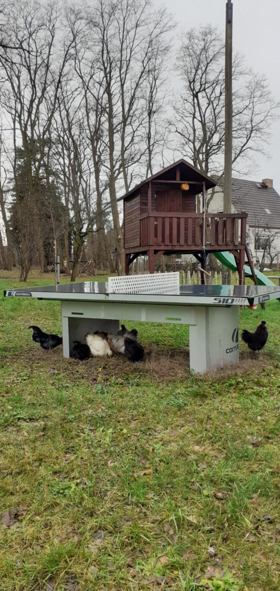 Zur Alten Jugendherberge Burg  Luaran gambar